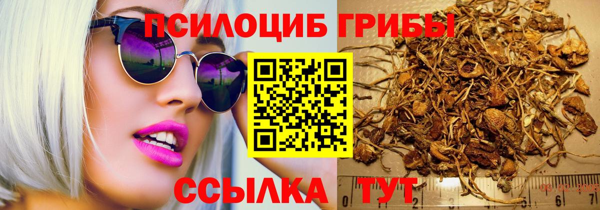 Галлюциногенные грибы GOLDEN TEACHER Всеволожск